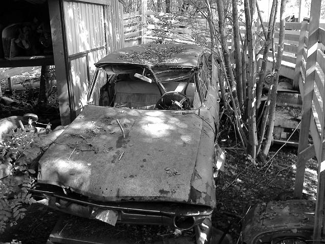 Autofriedhof - 132.JPG - Historischer Autofriedhof,    Gürbetal (CH)